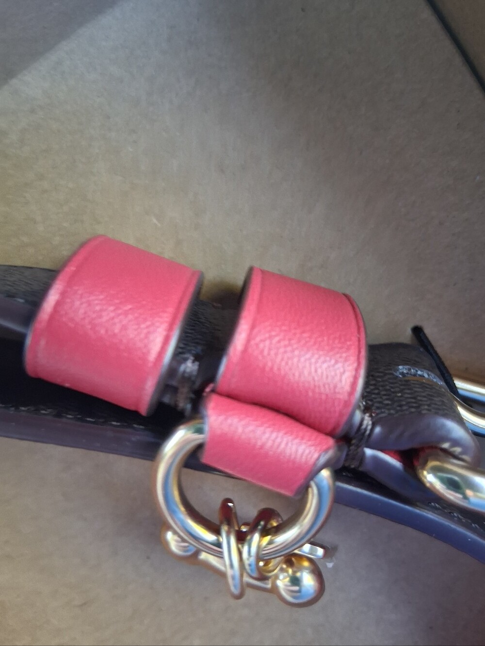 Coach Dog Collar - Picture 9 of 16